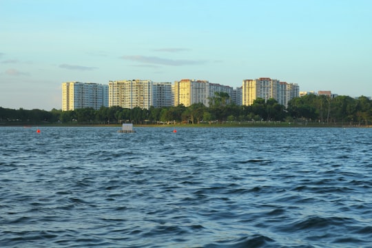 white boat on sea near city buildings during daytime in Bedok Reservoir Singapore