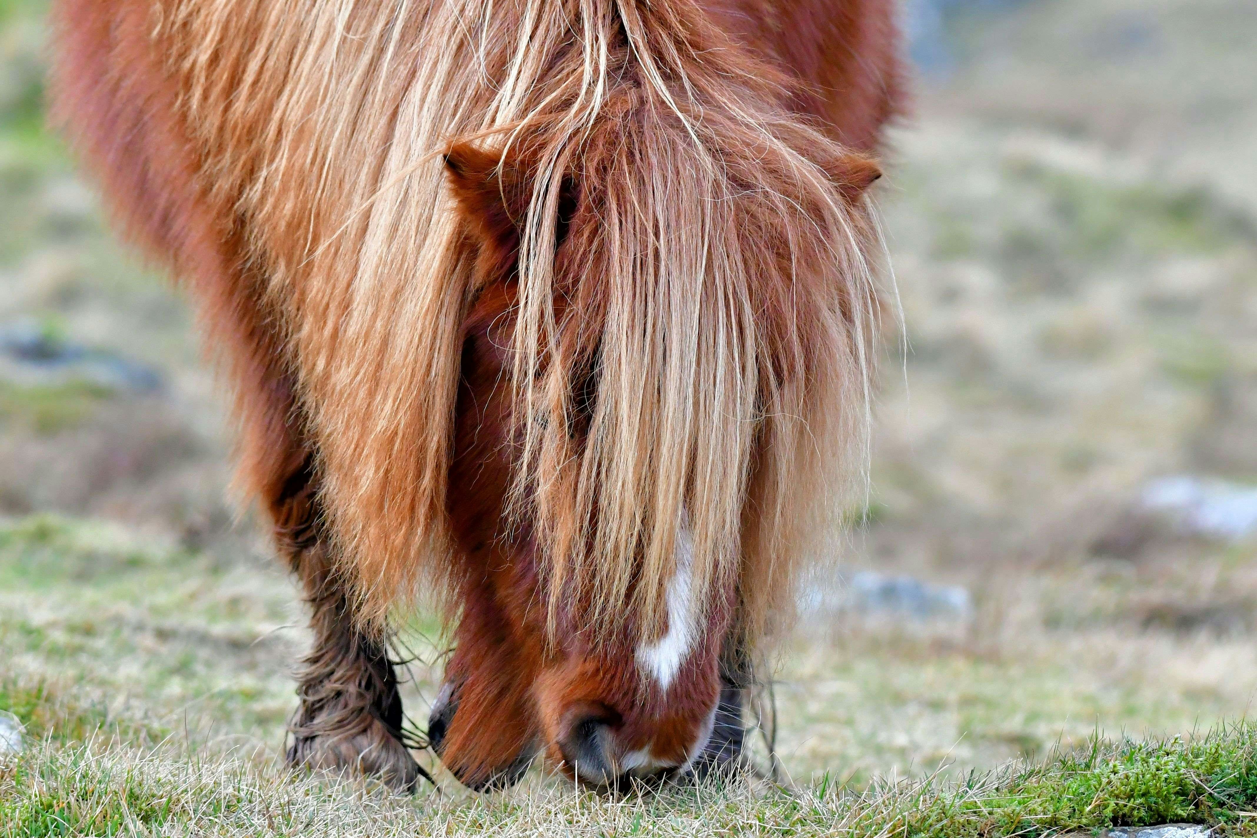 Photo by robyourduck