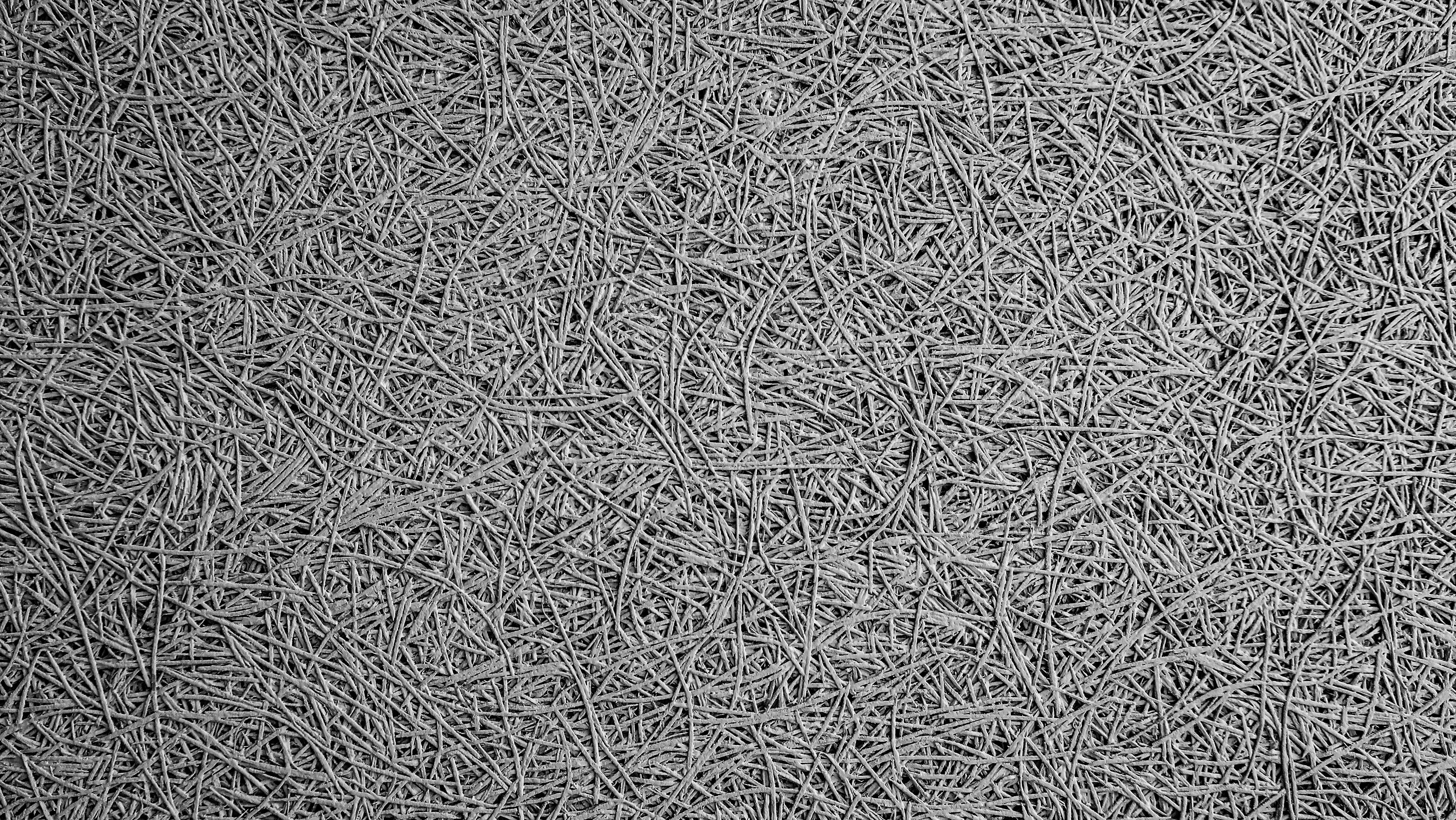 Photo by wilhelmgunkel