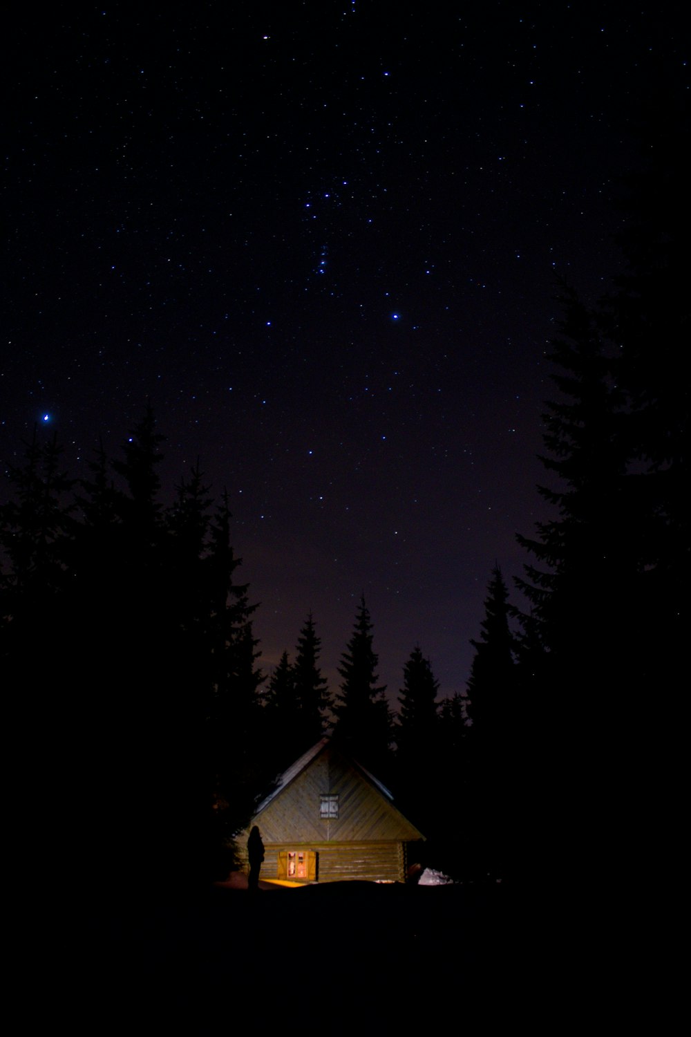 brown wooden house near trees during night time