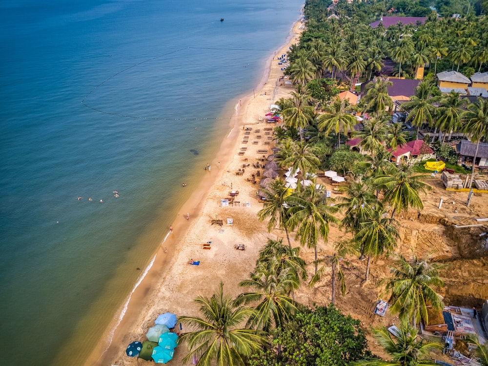 people on beach during daytime