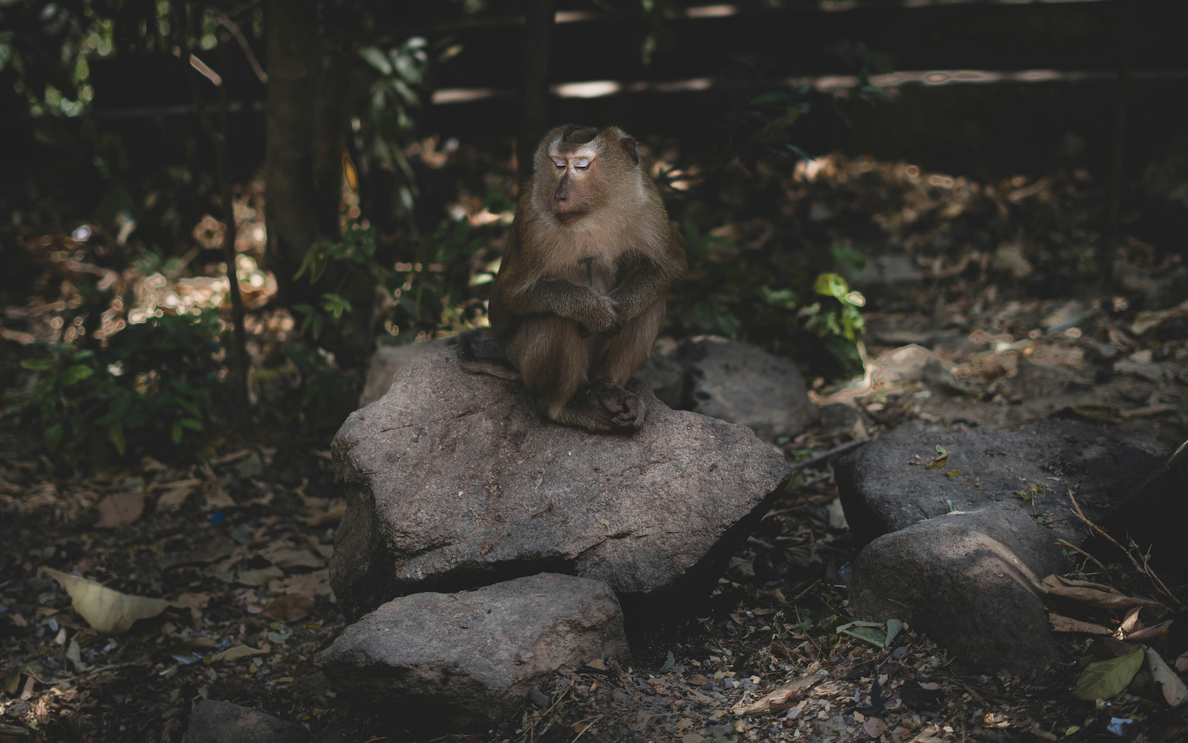 Monaburi Boutique Resort Phuket