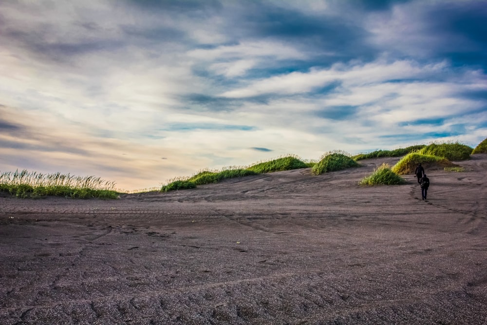 green grass field under cloudy sky during daytime