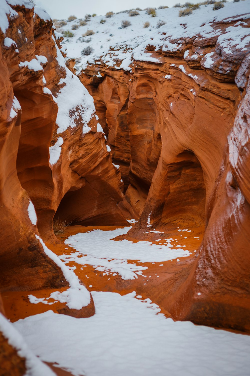 brown rock formation during daytime