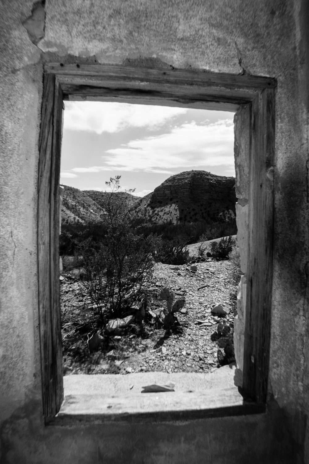 grayscale photo of trees and mountains