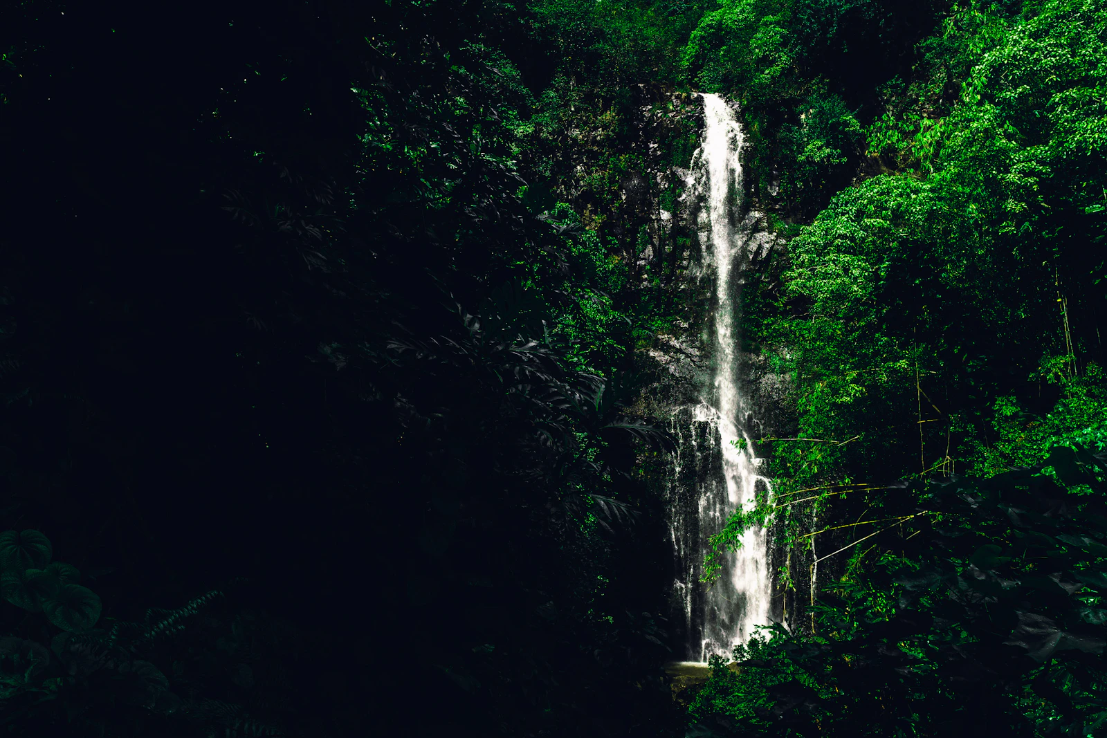 A waterfall surrounded by rainforest along Maui's Road to Hana