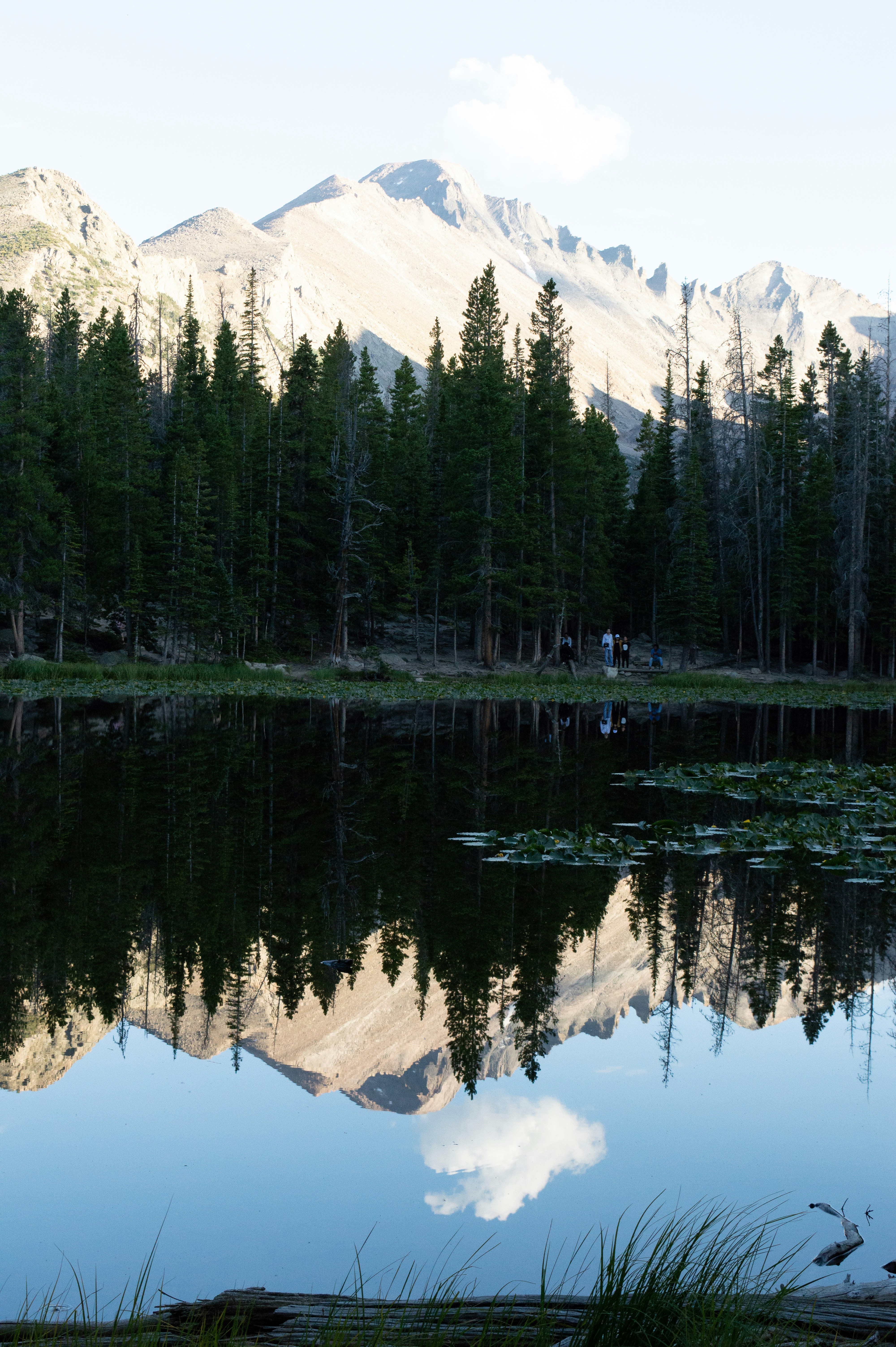 Photo by brandfluencer