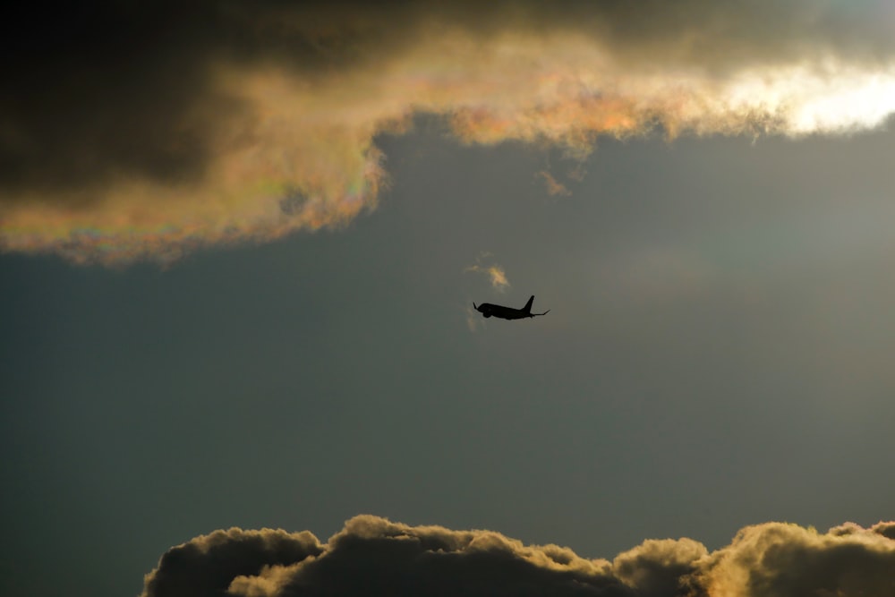 bird flying under cloudy sky during daytime