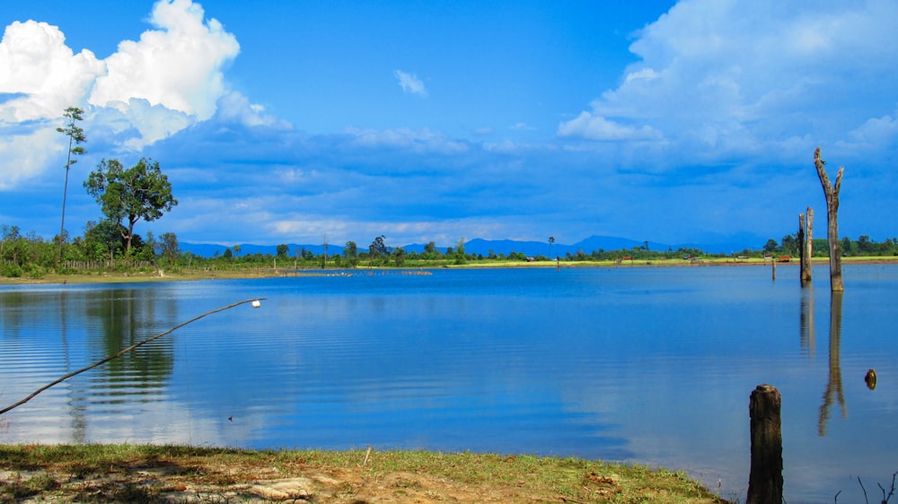green trees beside body of water under blue sky and white clouds during daytime