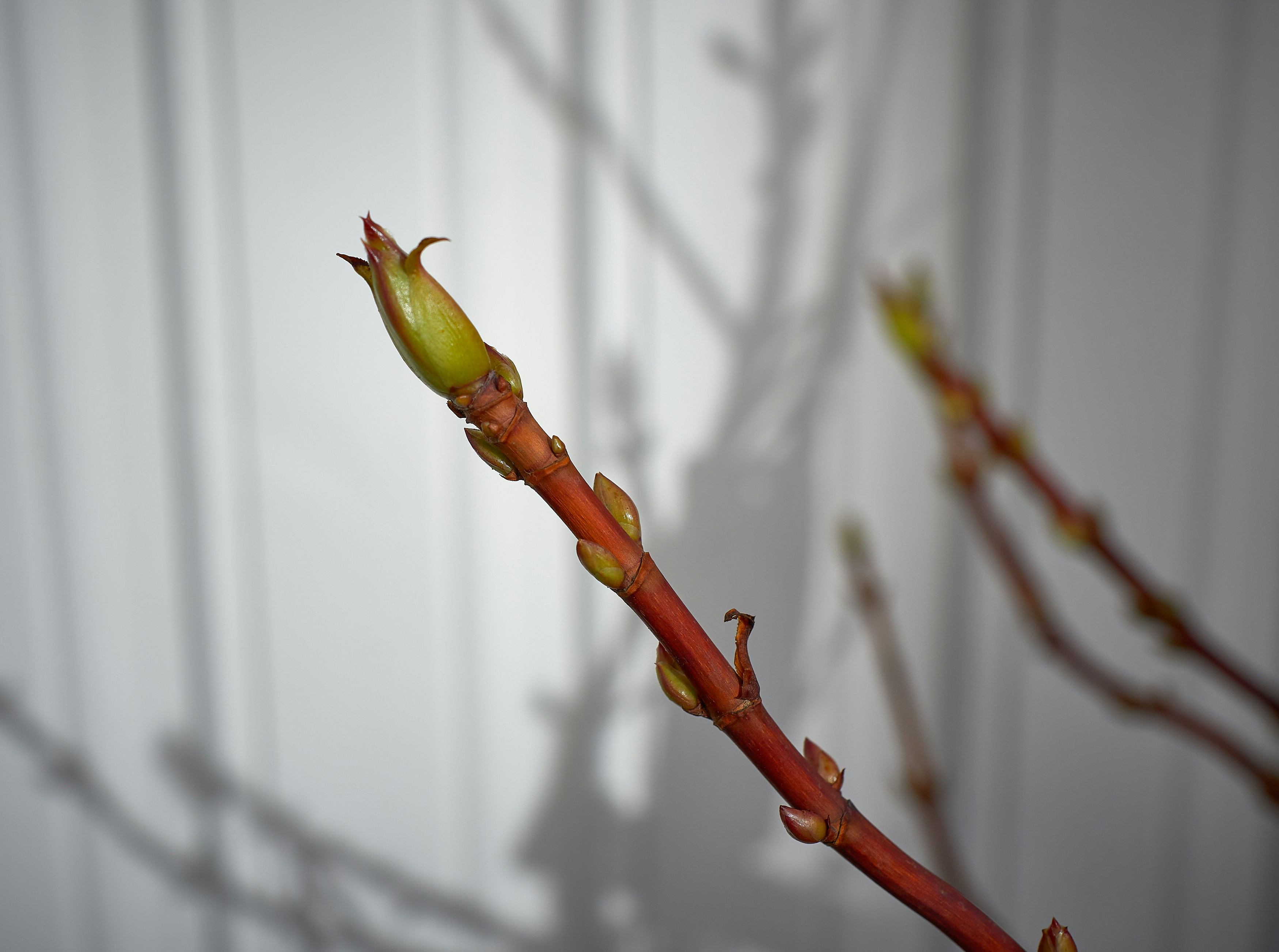 Photo by vidarnm