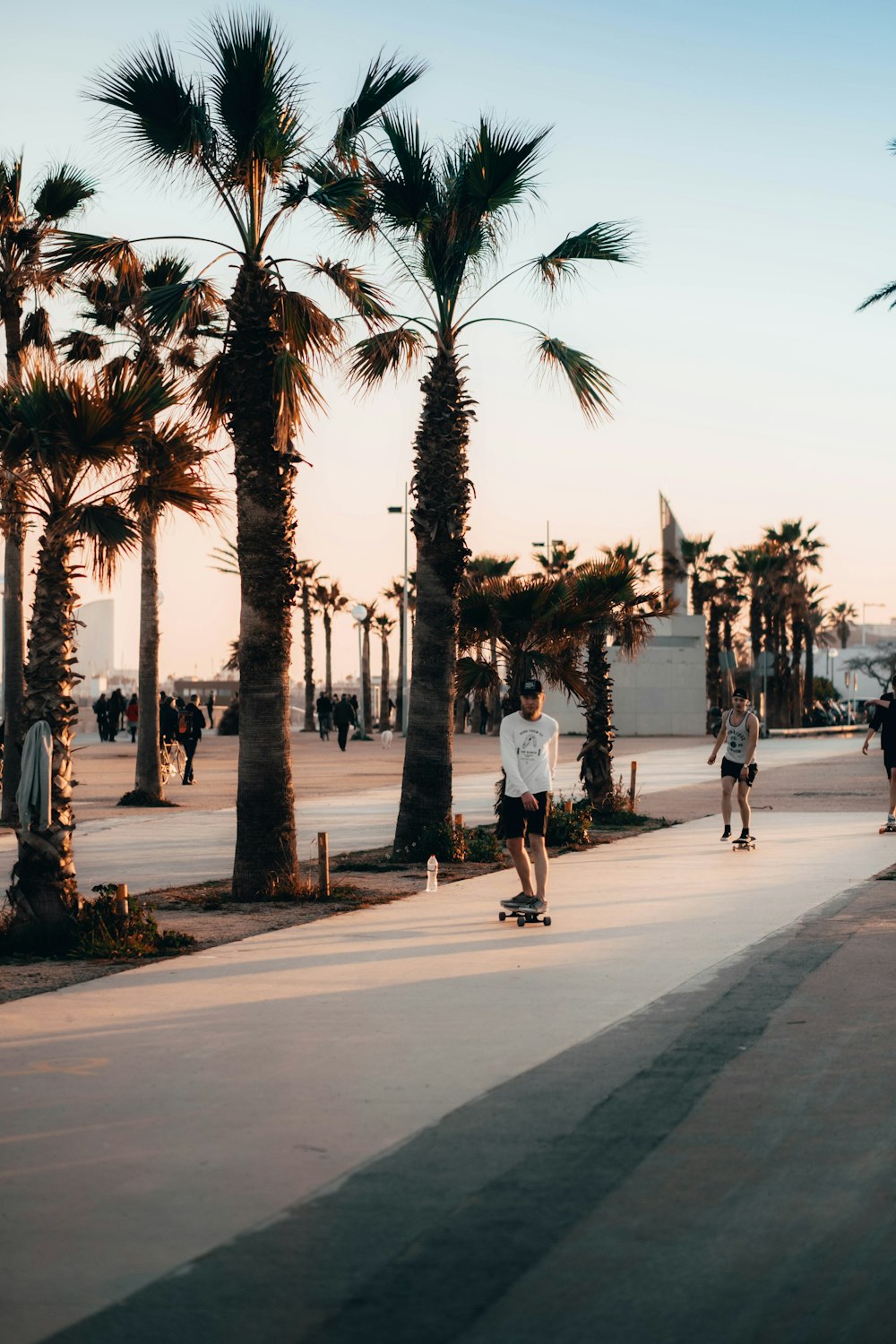 people walking on sidewalk near palm trees during daytime