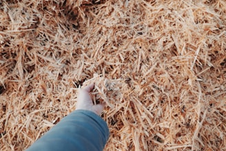 Hands holding a handful of smooth, uniform biomass pellets against a backdrop of natural wood.