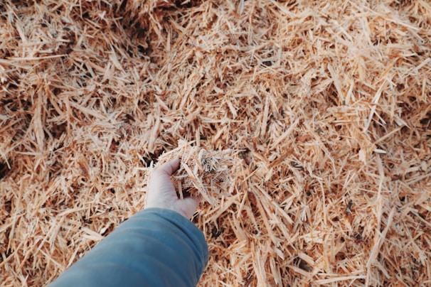 Hands holding a handful of smooth, uniform biomass pellets against a backdrop of natural wood.