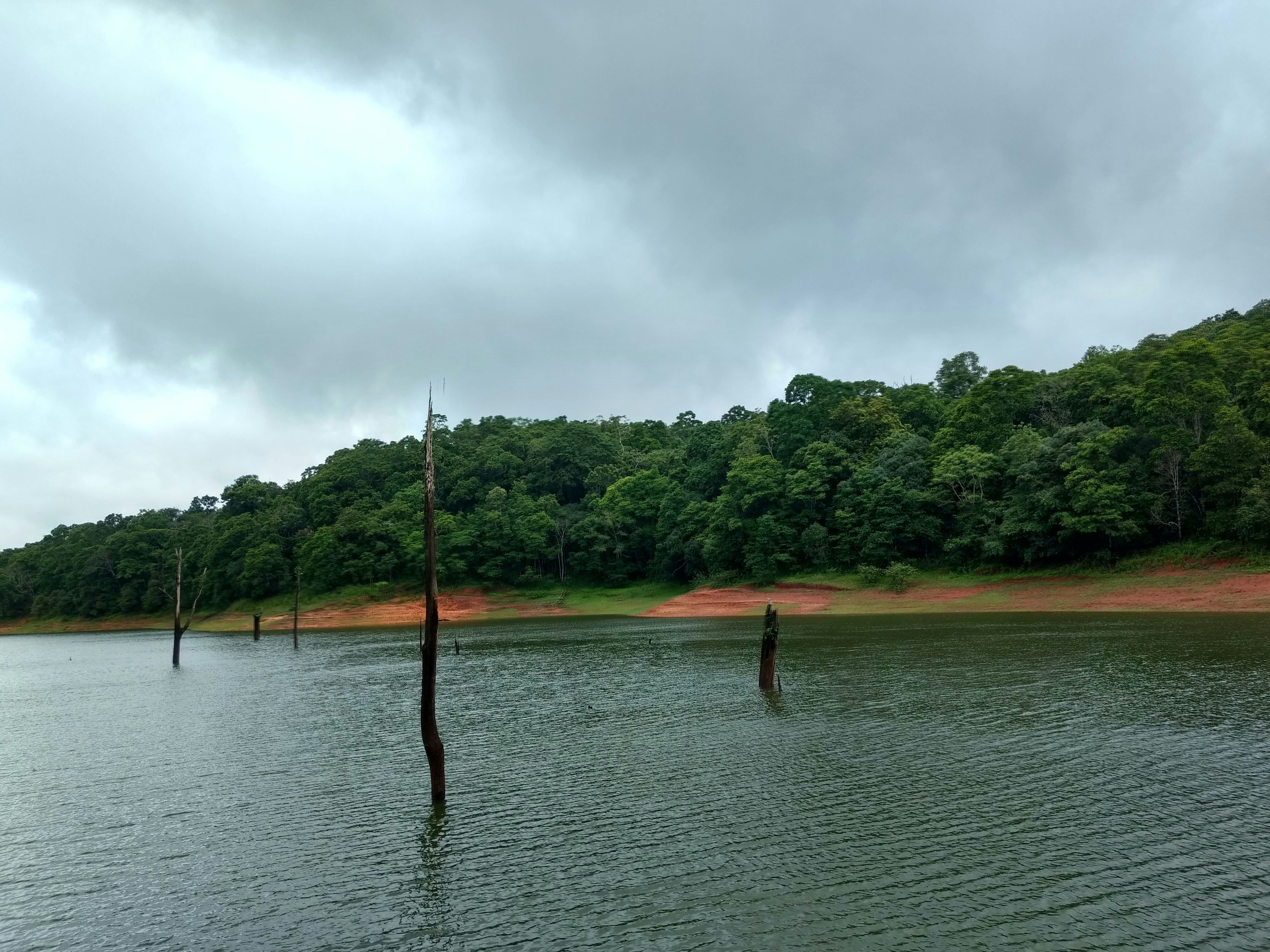 Flooded forest lake during wet season, submerged trees, dramatic cloudy sky