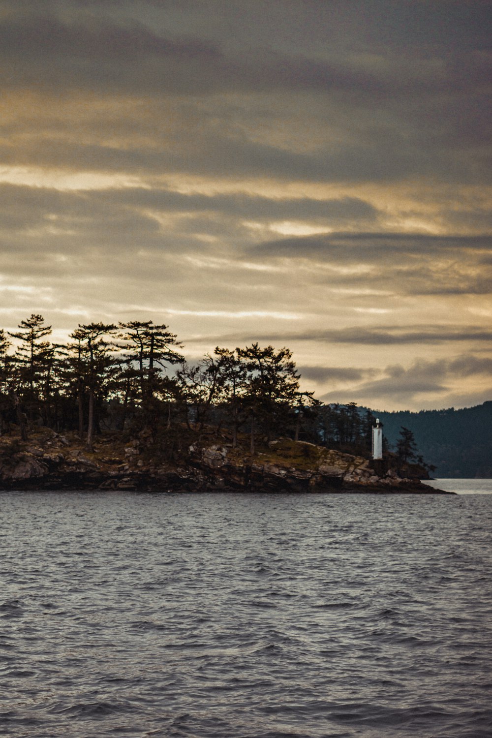 green trees on island during daytime