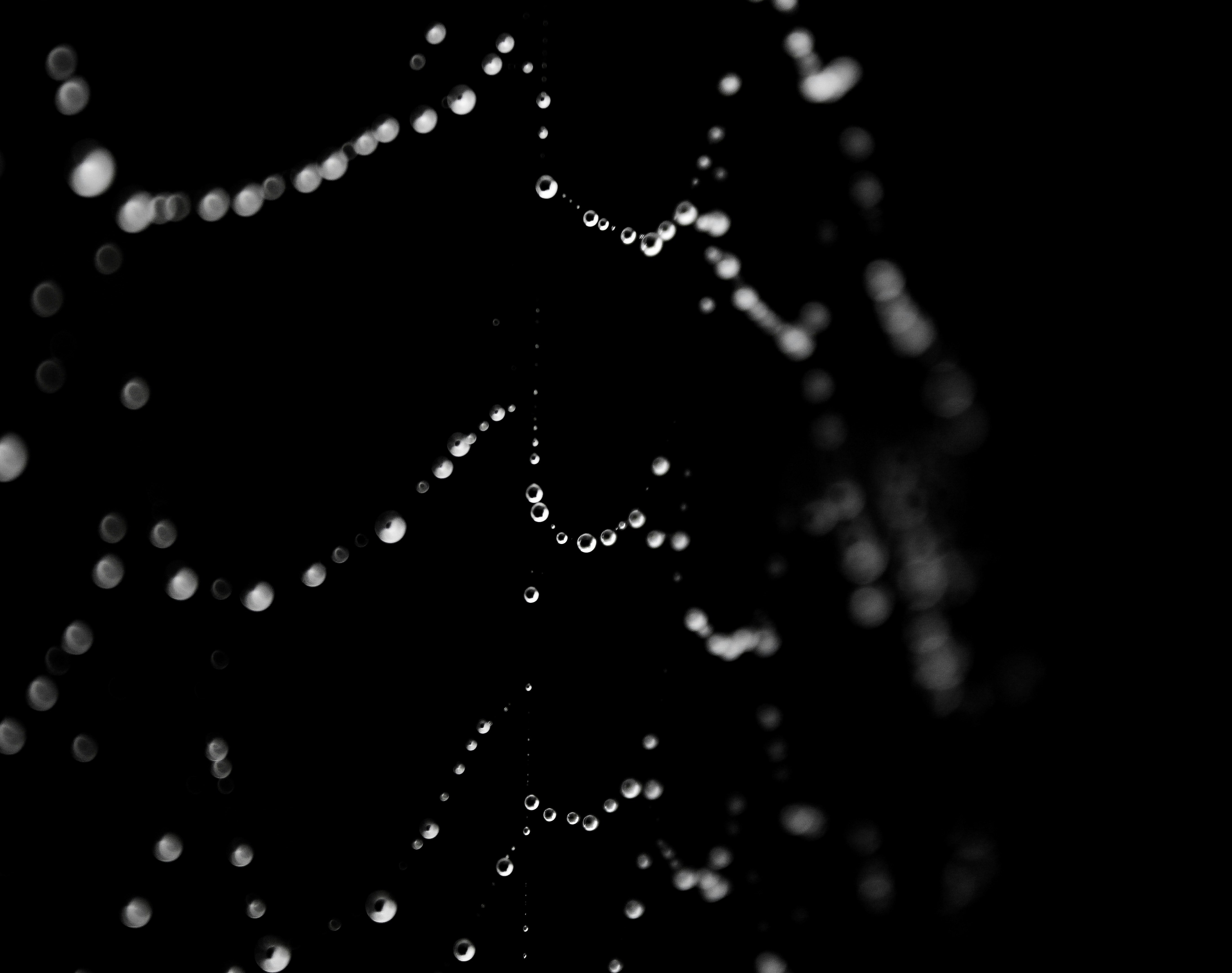 Photo by athunterjd17