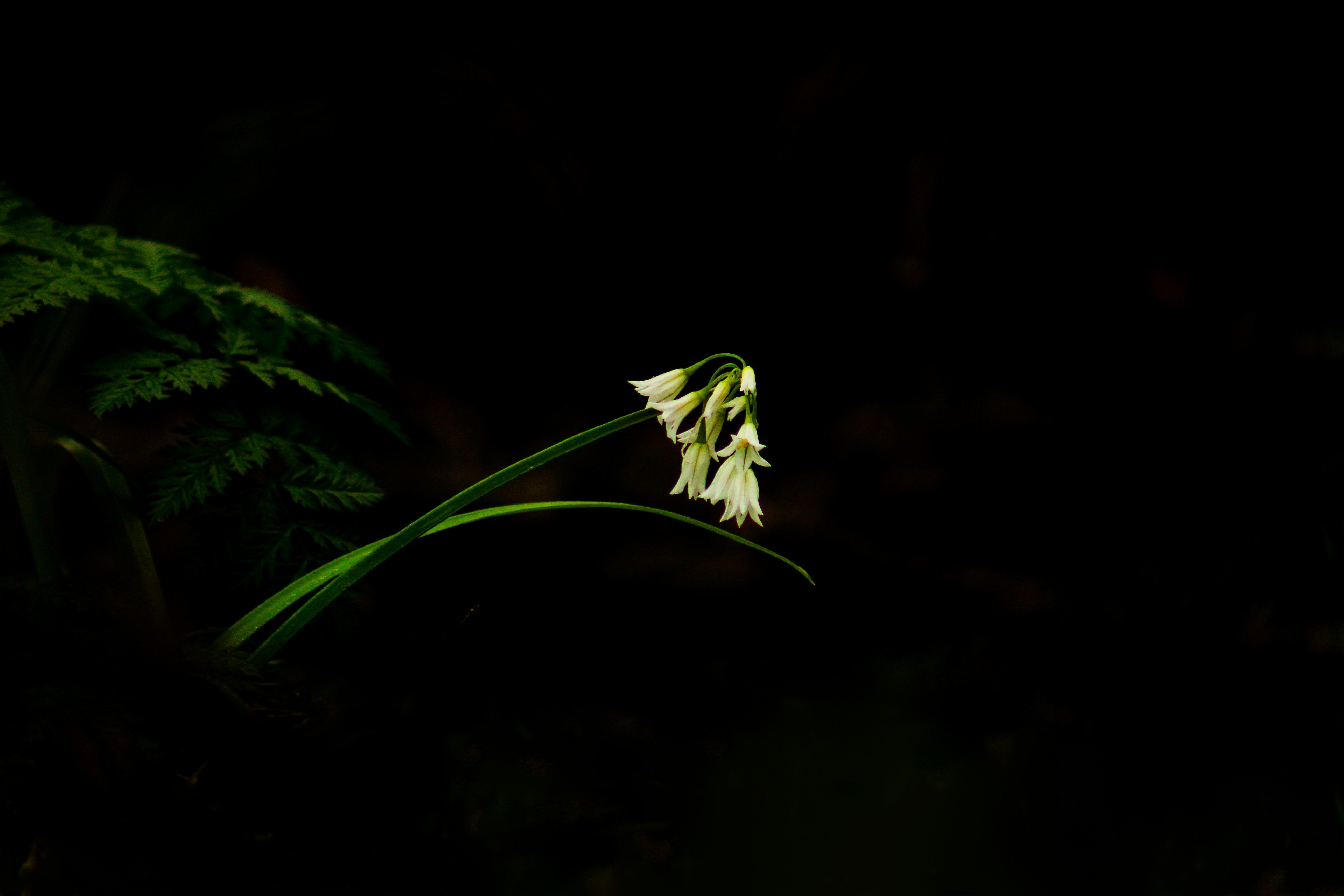 Photo by athunterjd17