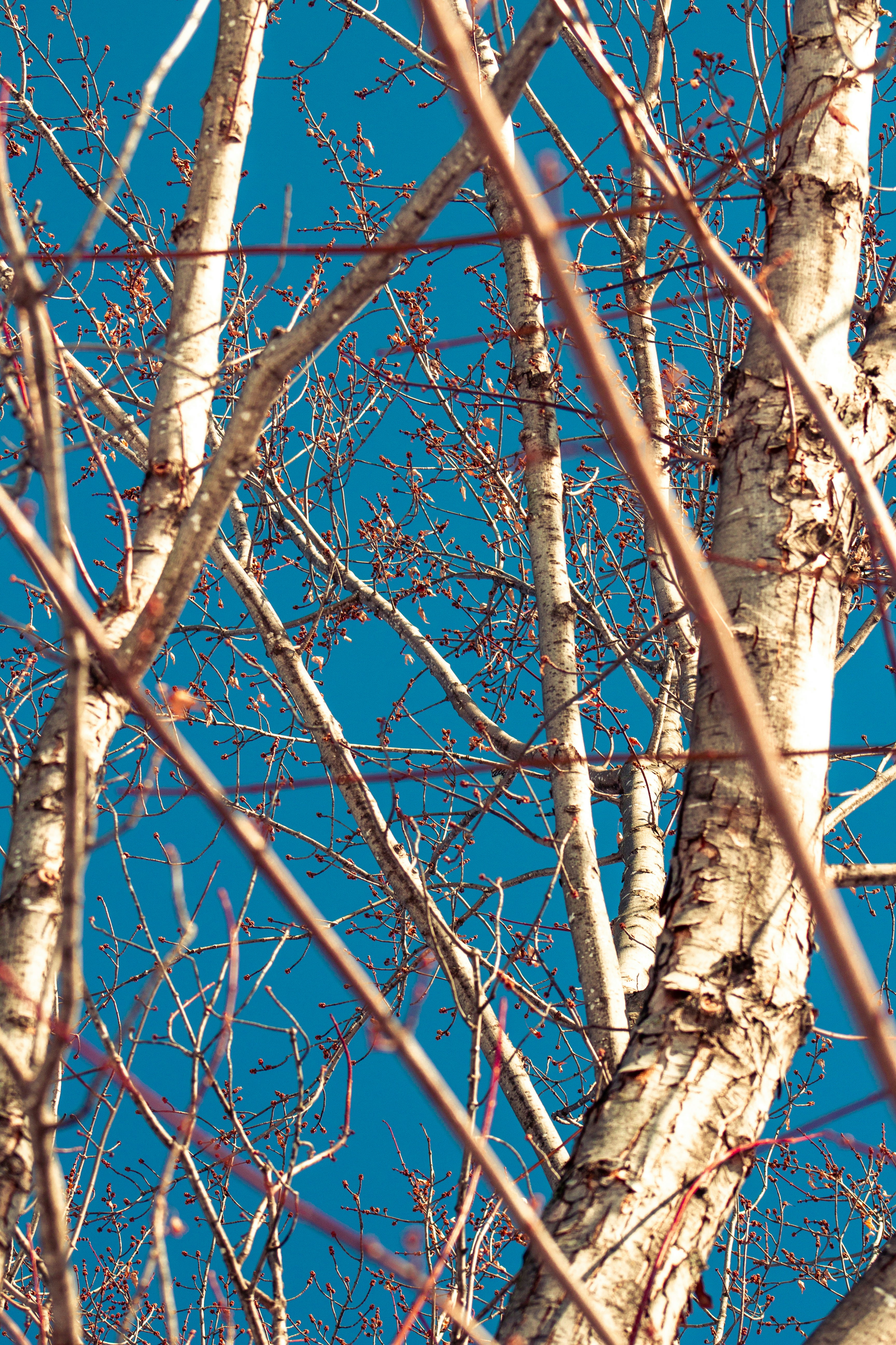 Photo by athunterjd17