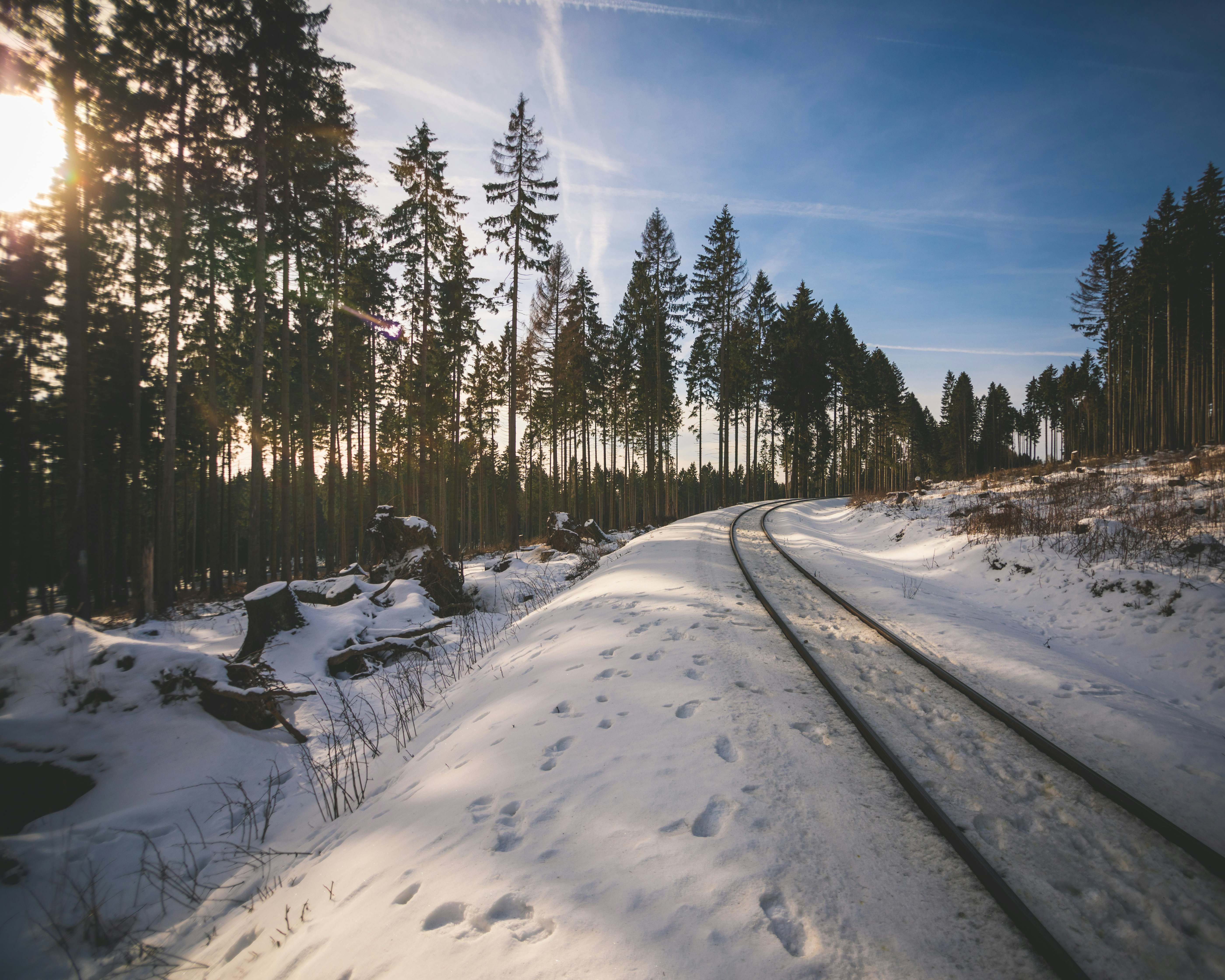 Carretera cubierta de nieve entre árboles bajo el cielo azul durante el día