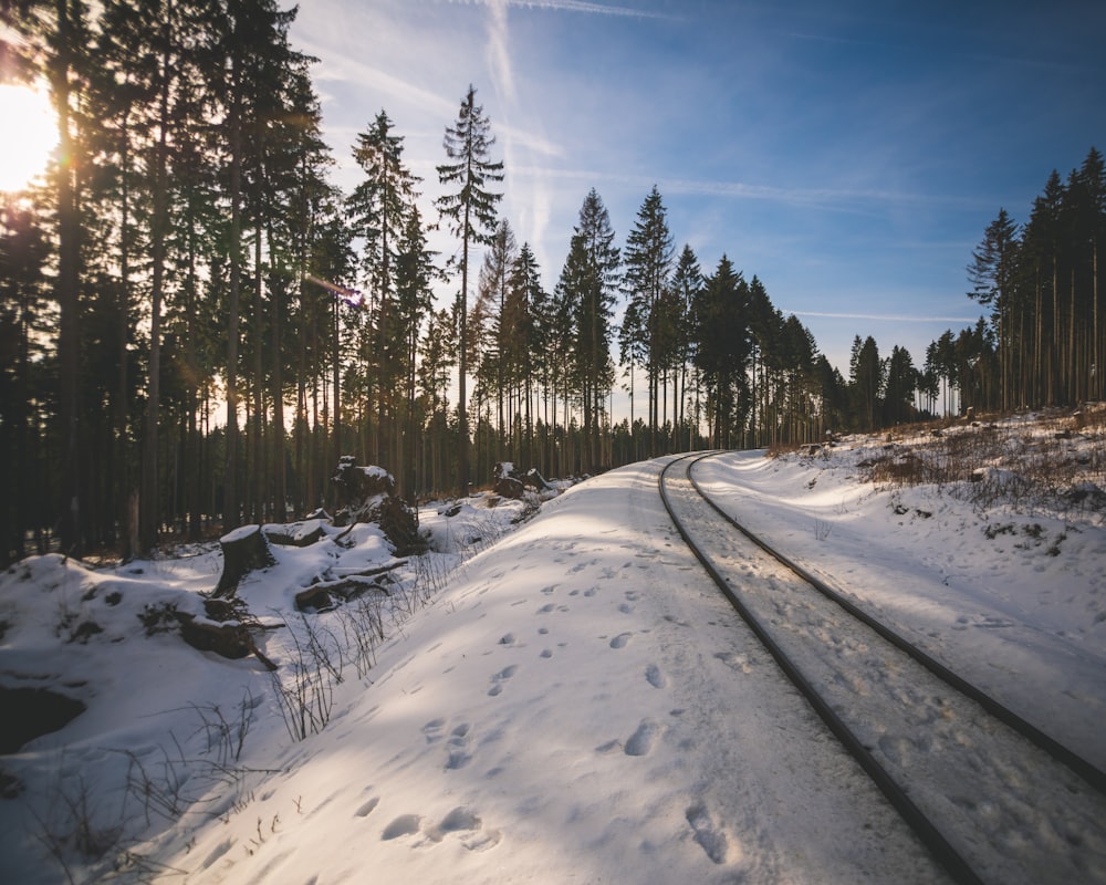 snow covered road between trees under blue sky during daytime