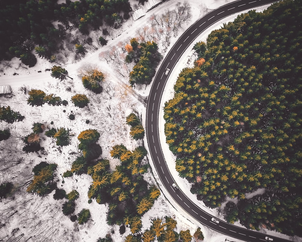 an aerial view of a road surrounded by trees