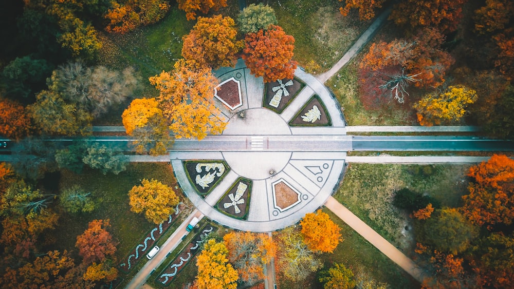 vista a volo d'uccello degli alberi