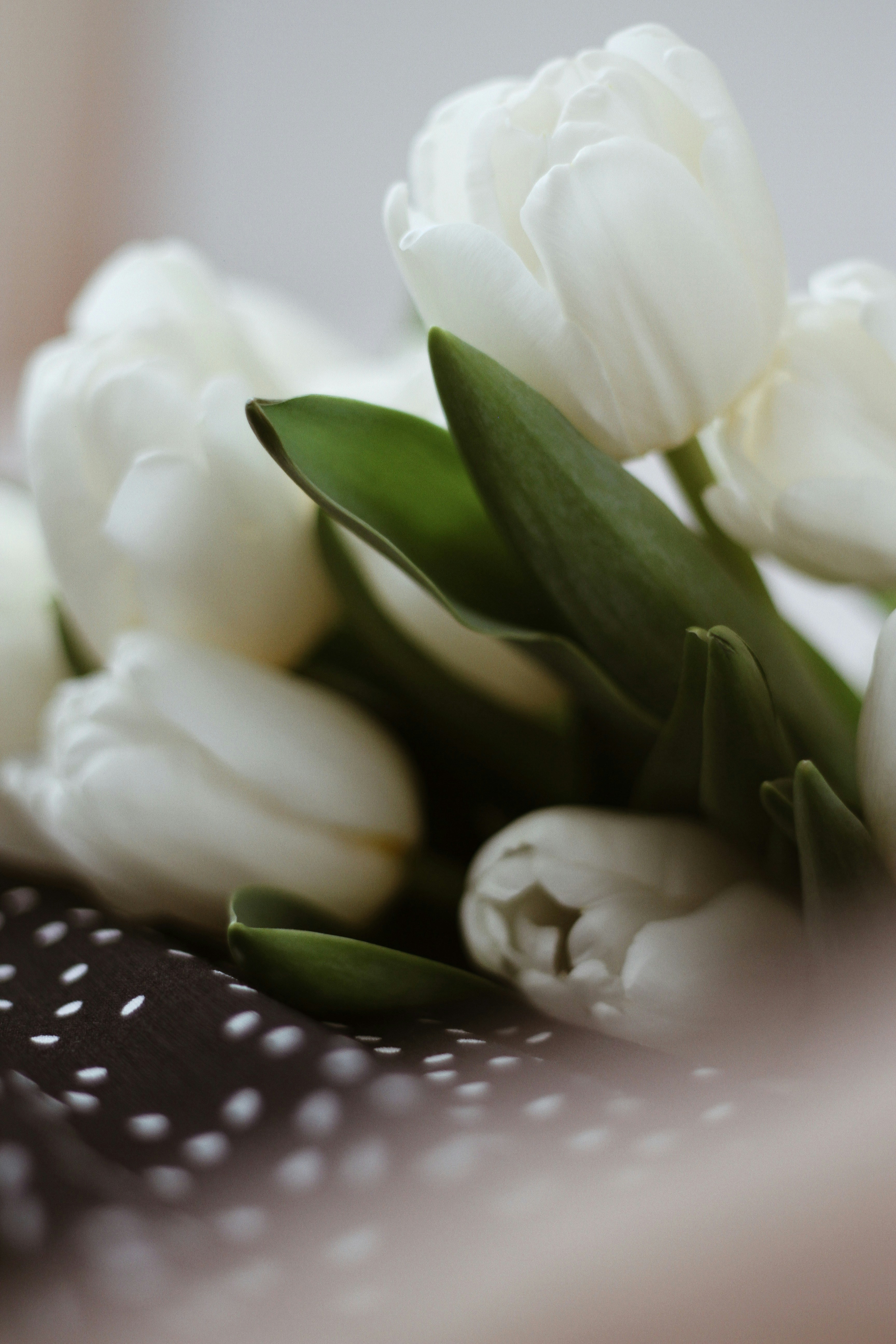 Photo by tanyatrukyr