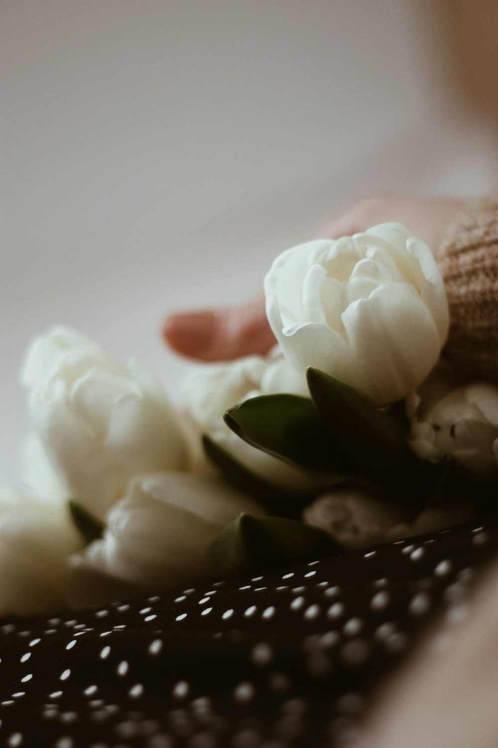 white flower petals on persons hand