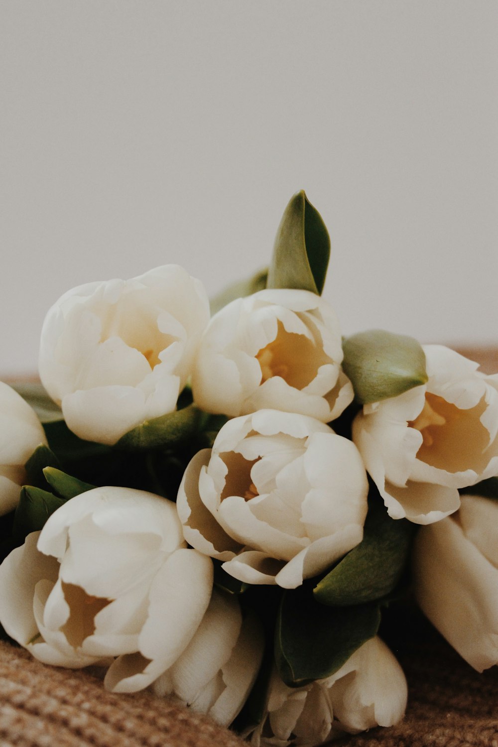 white flowers on green stem