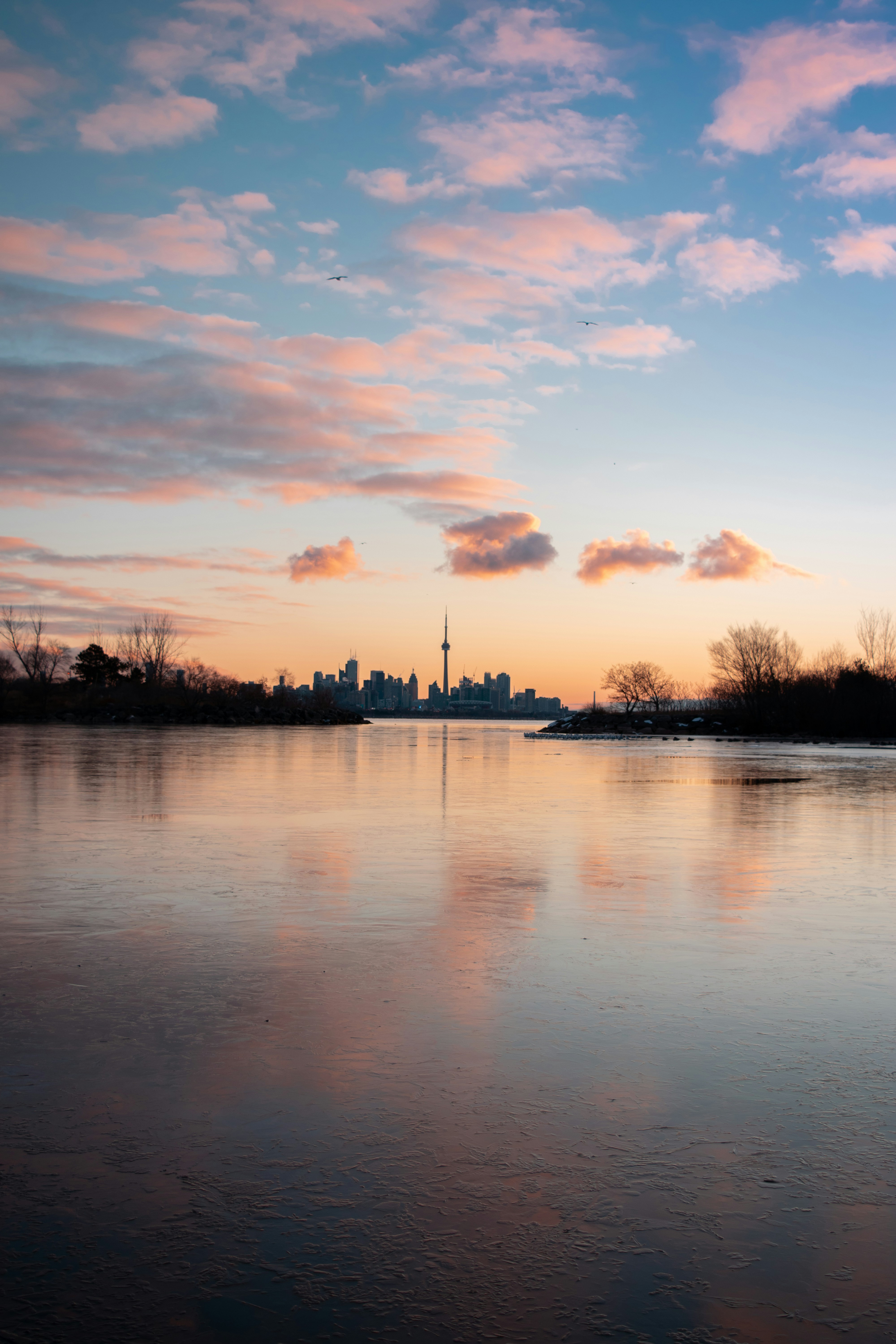 Containers in Cotton, GA