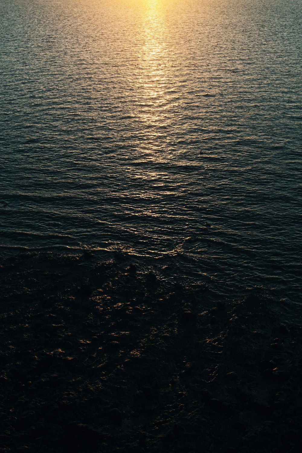日没時の水域