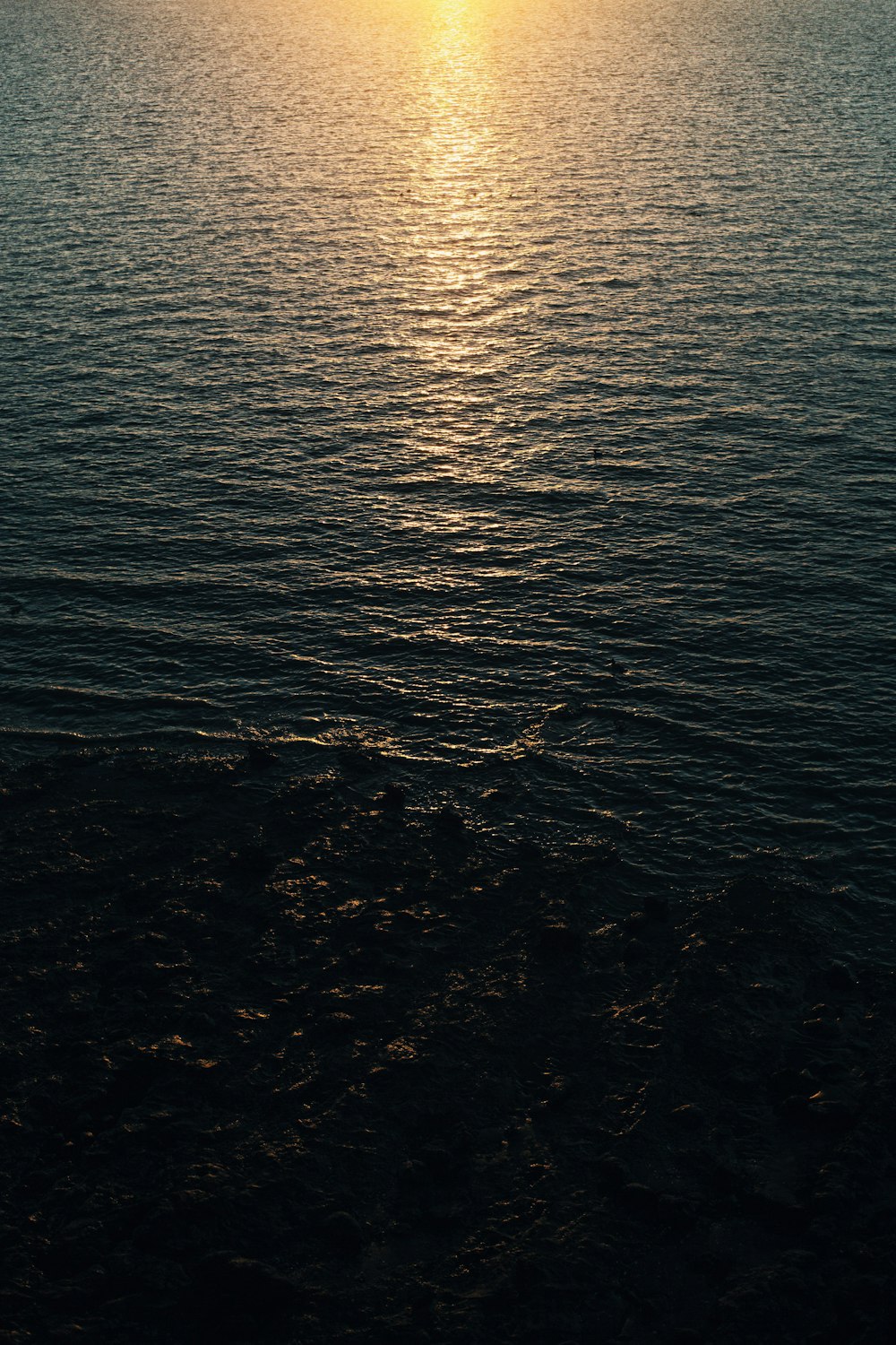 body of water during sunset