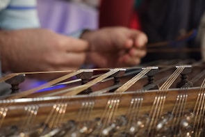 Close-up of hands playing a guzheng with blooming flowers in the background.