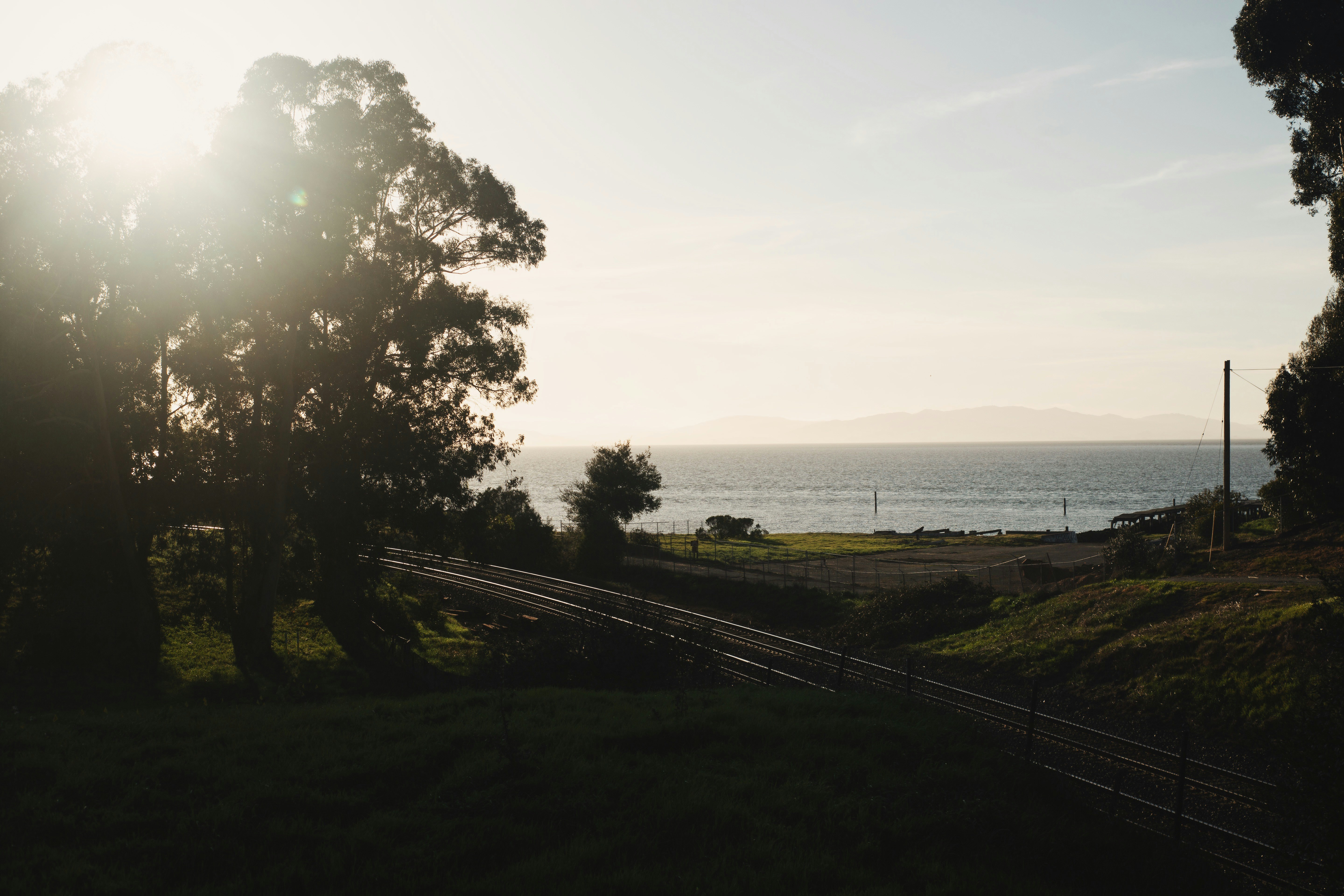 Photo by giorgiotrovato