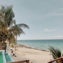 A serene beach scene with clear turquoise water stretching to the horizon. Tall palm trees with coconuts sway gently on the left side, casting shadows on the sandy shore. In the foreground, an infinity pool blends into the natural landscape. The sky is clear with a few scattered clouds, enhancing the tranquil atmosphere.