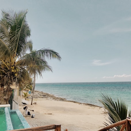 A serene beach scene with clear turquoise water stretching to the horizon. Tall palm trees with coconuts sway gently on the left side, casting shadows on the sandy shore. In the foreground, an infinity pool blends into the natural landscape. The sky is clear with a few scattered clouds, enhancing the tranquil atmosphere.