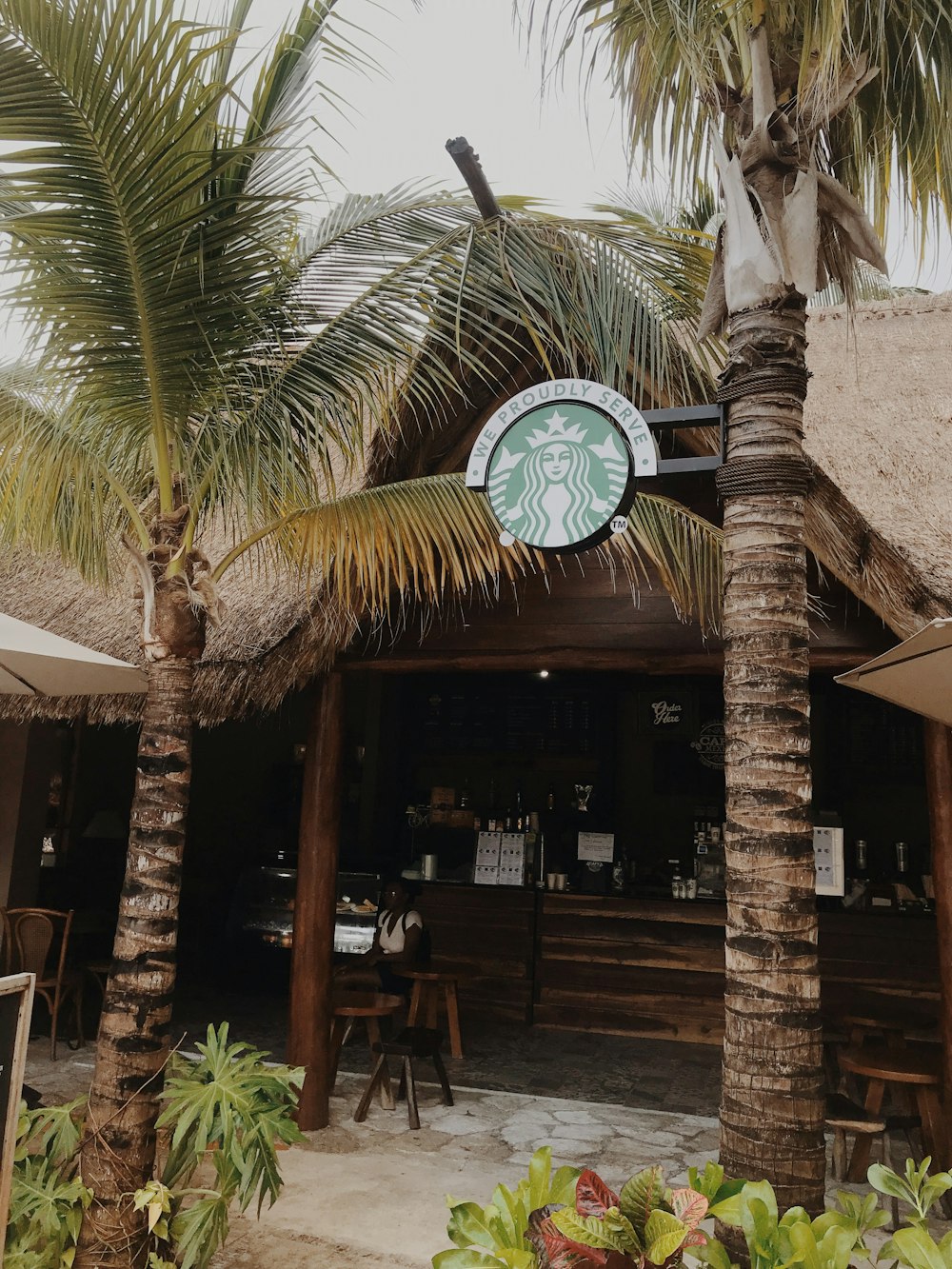 green palm tree near brown wooden building