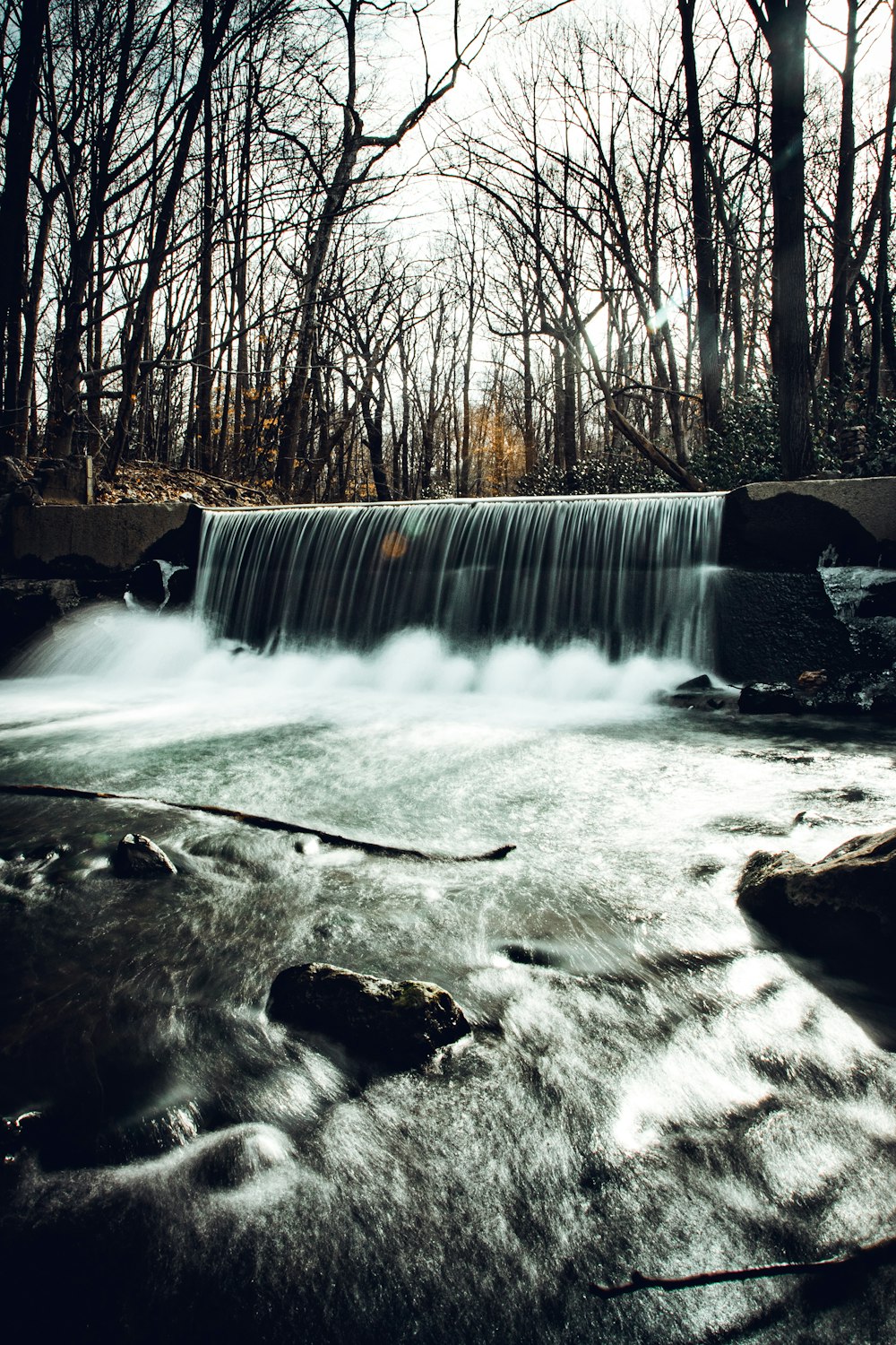 L’eau tombe au milieu des arbres dénudés