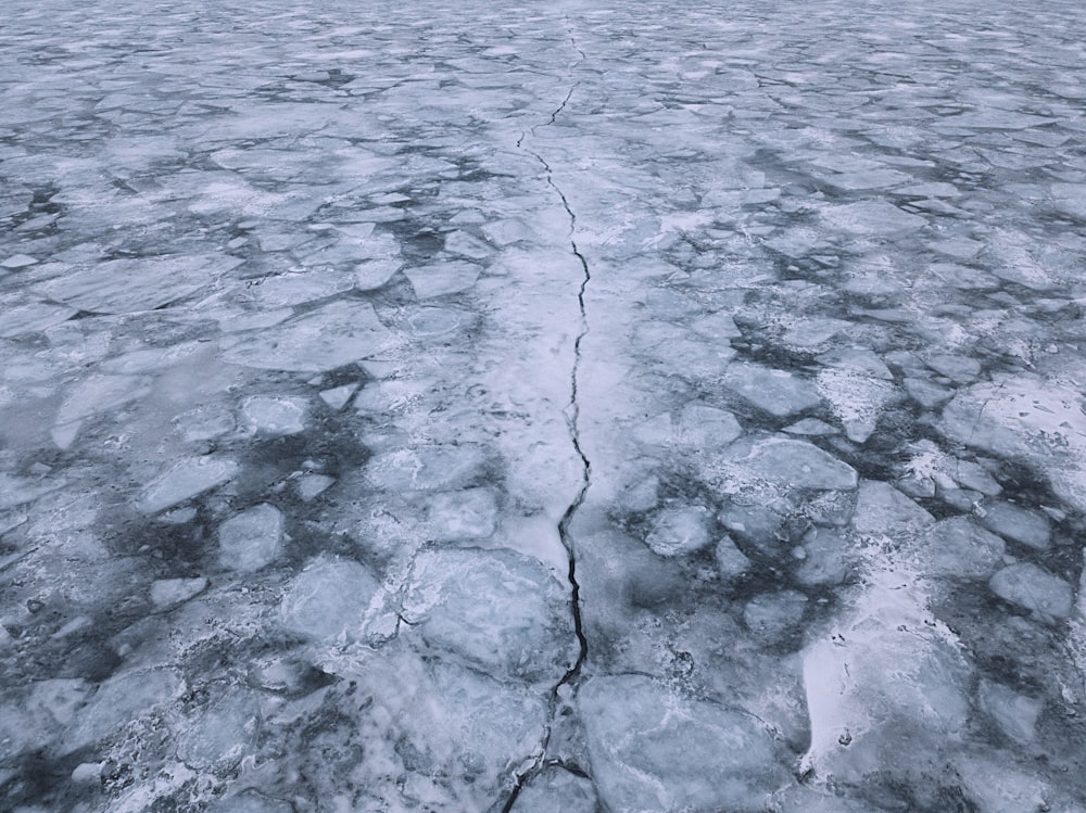 body of water during daytime