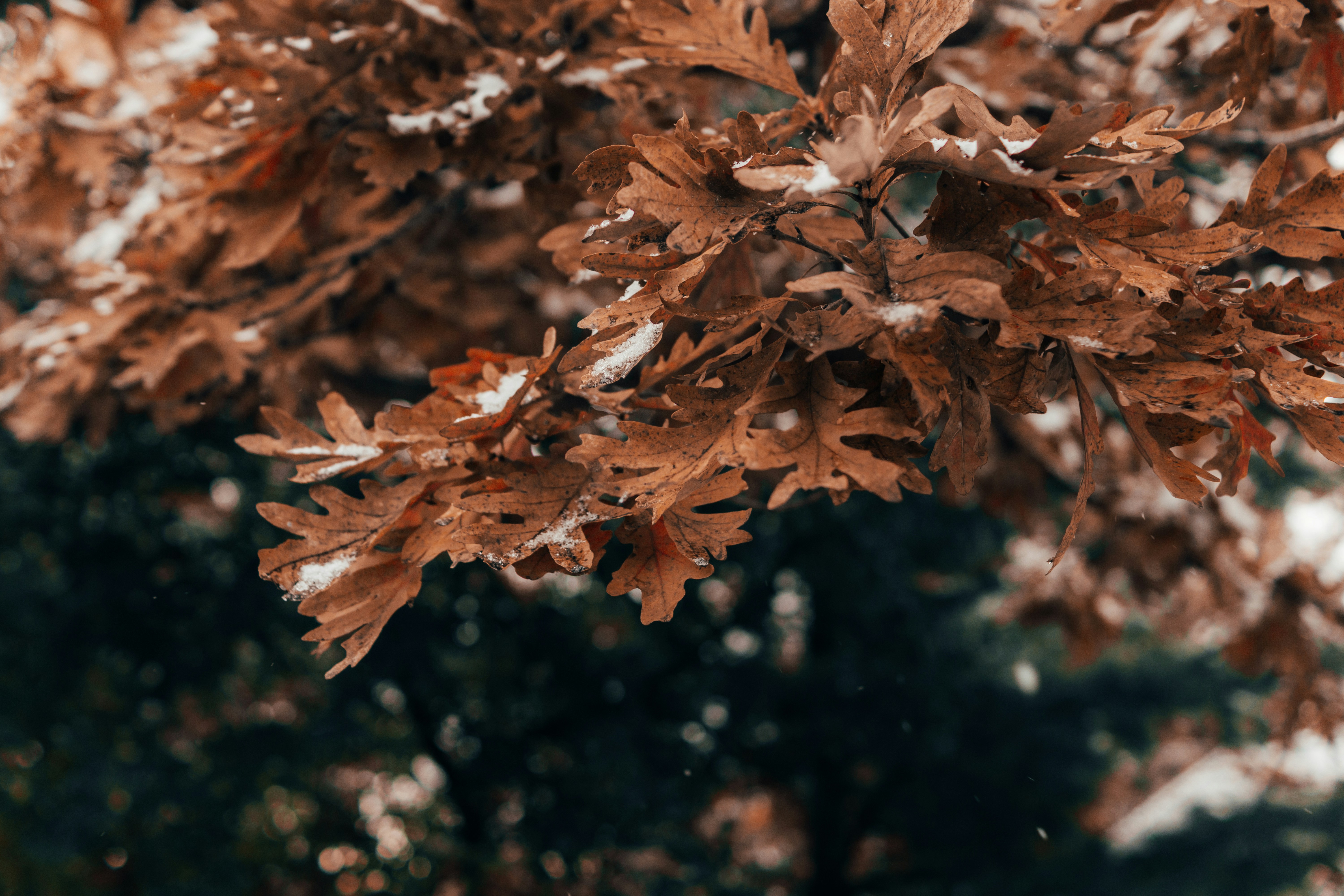 Photo by shootnmatch