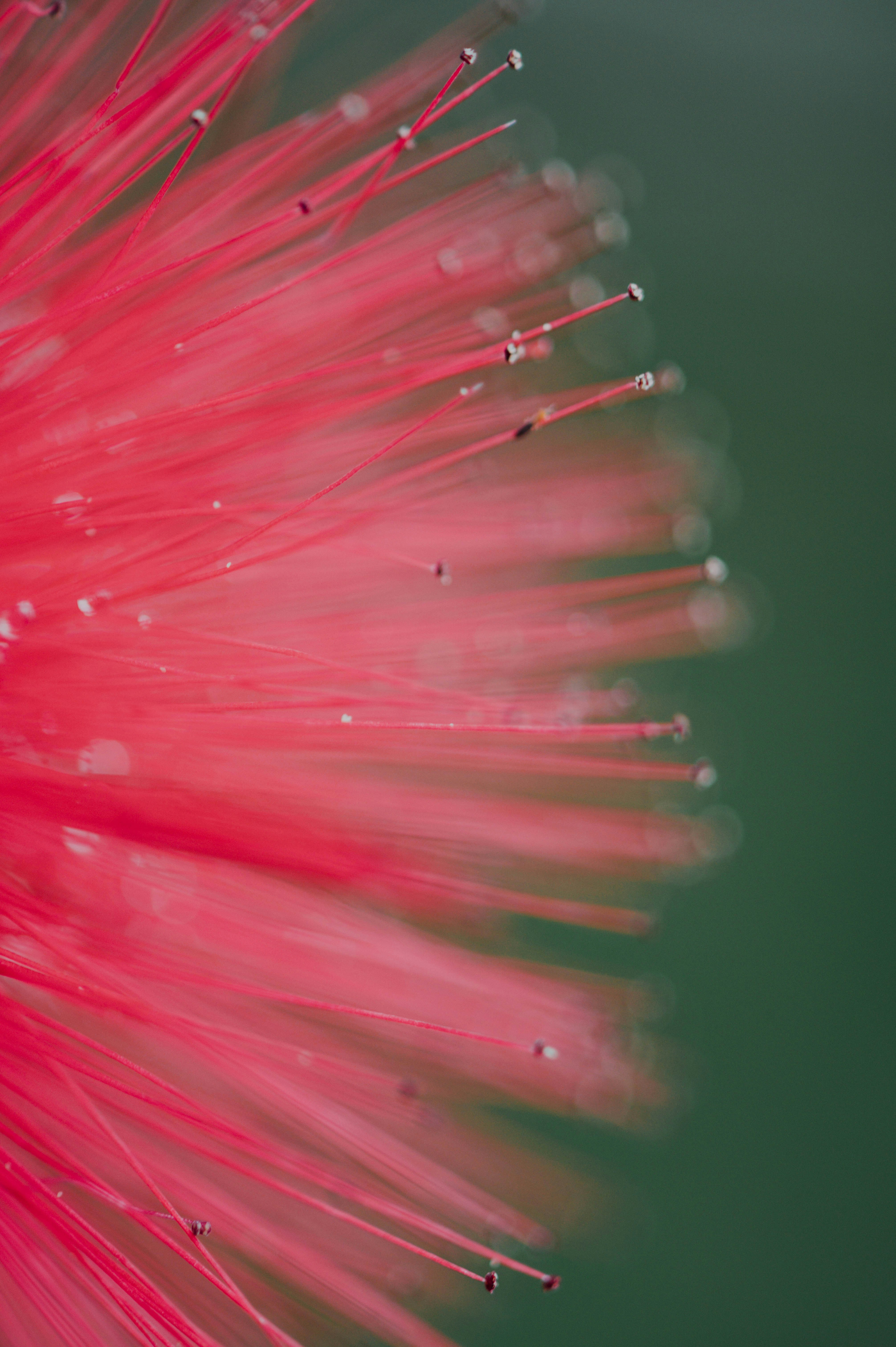 Photo by chuttersnap