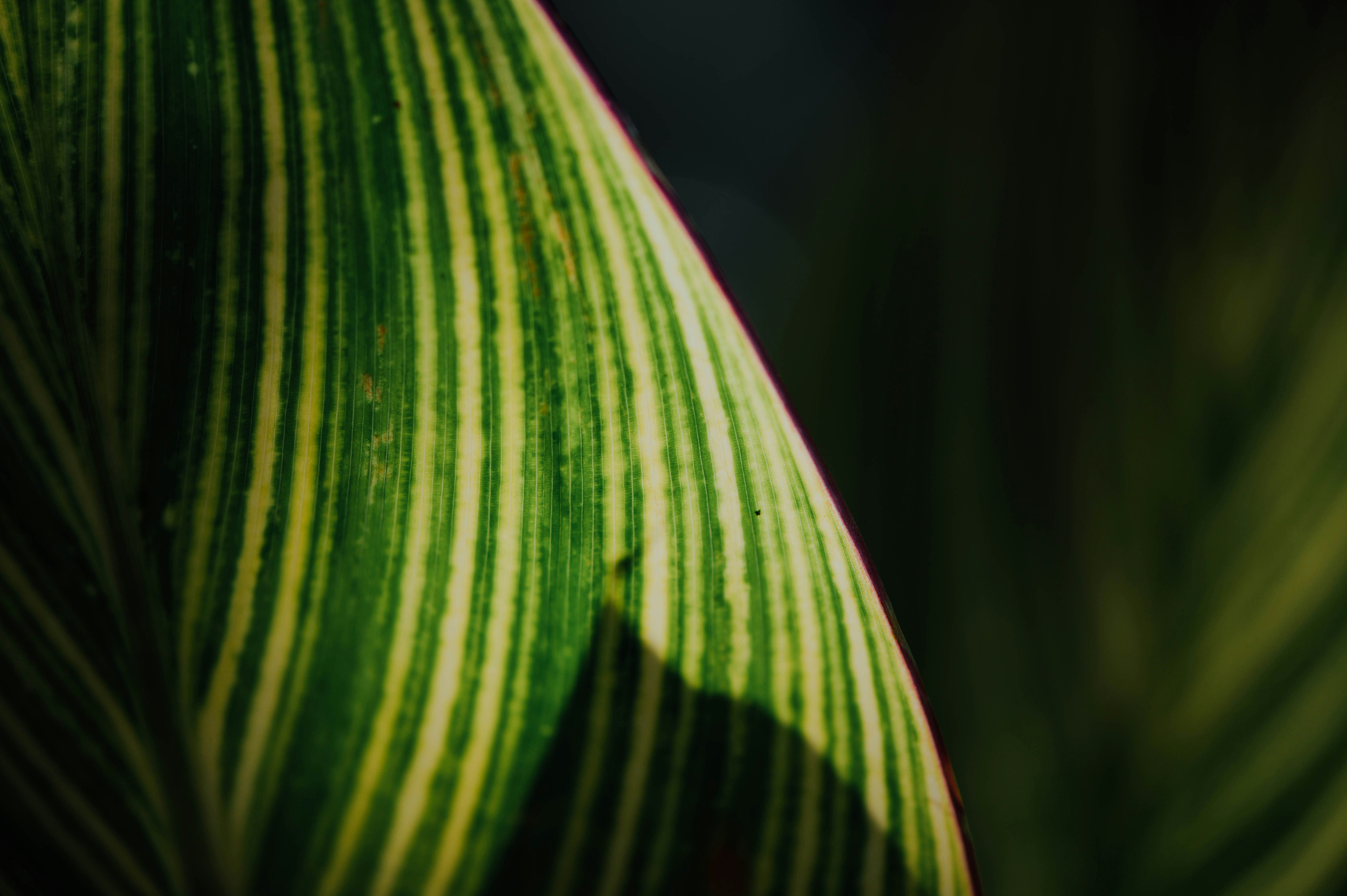 Photo by chuttersnap