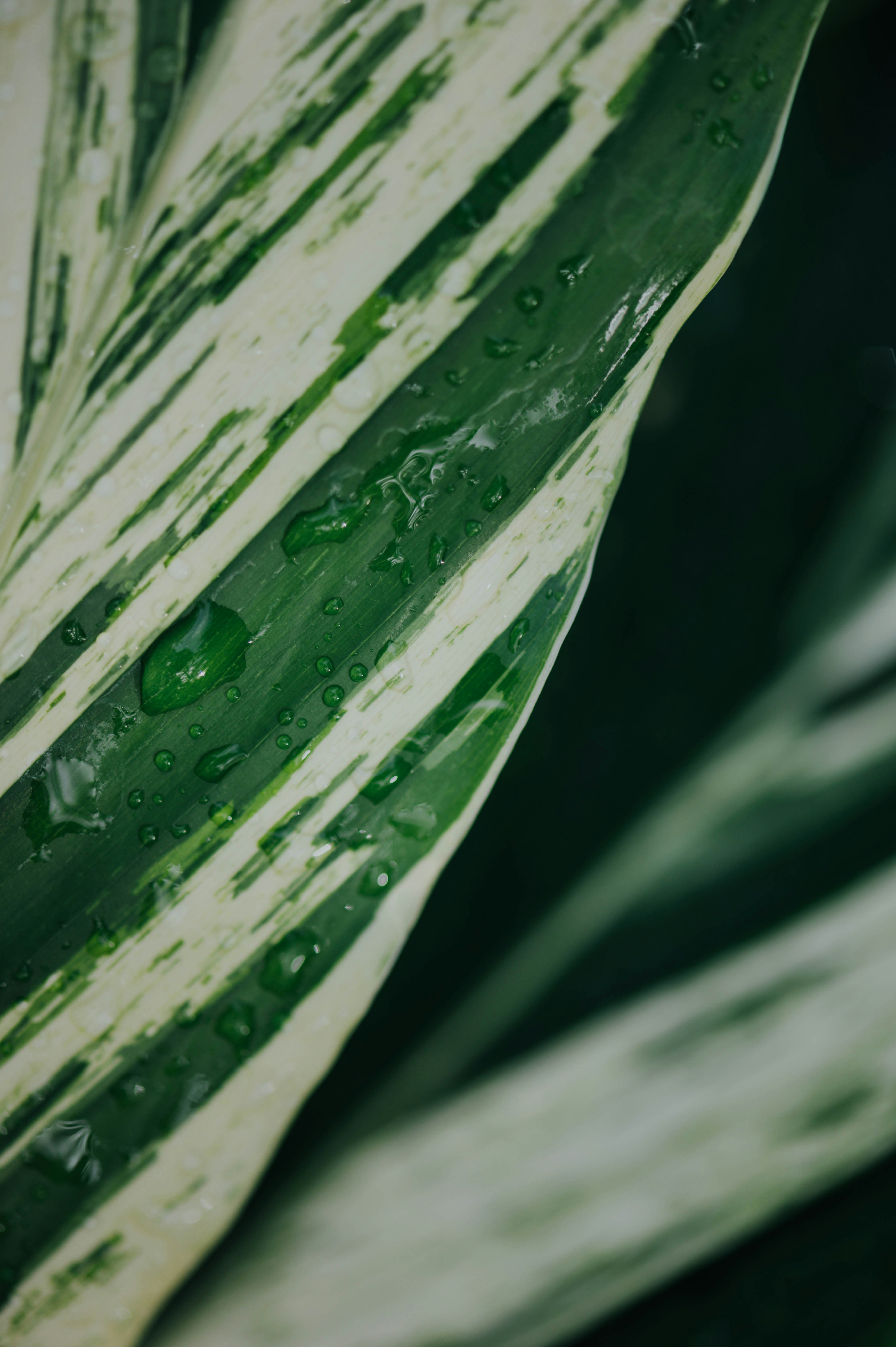 Photo by chuttersnap