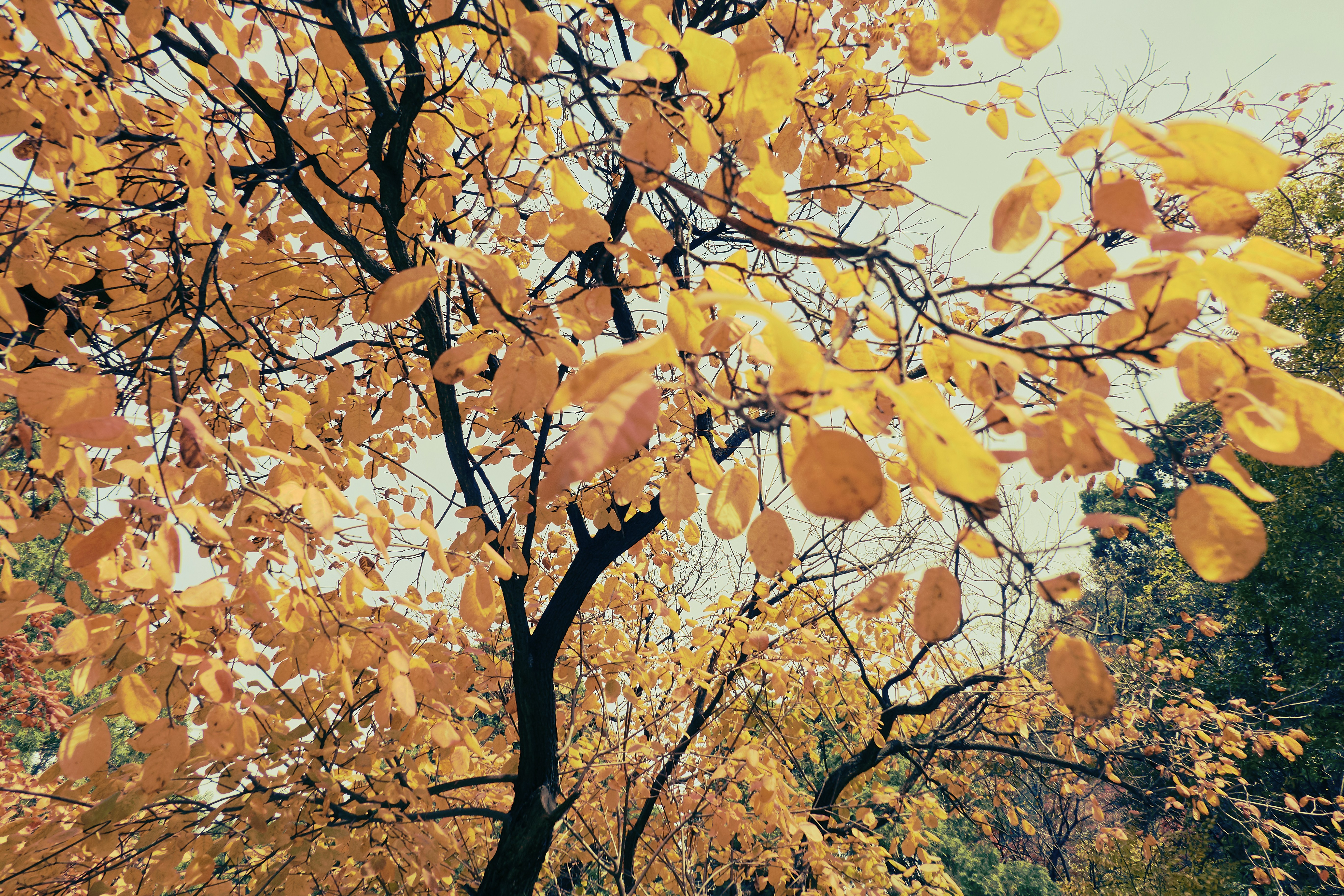 Photo by xiazheng1995