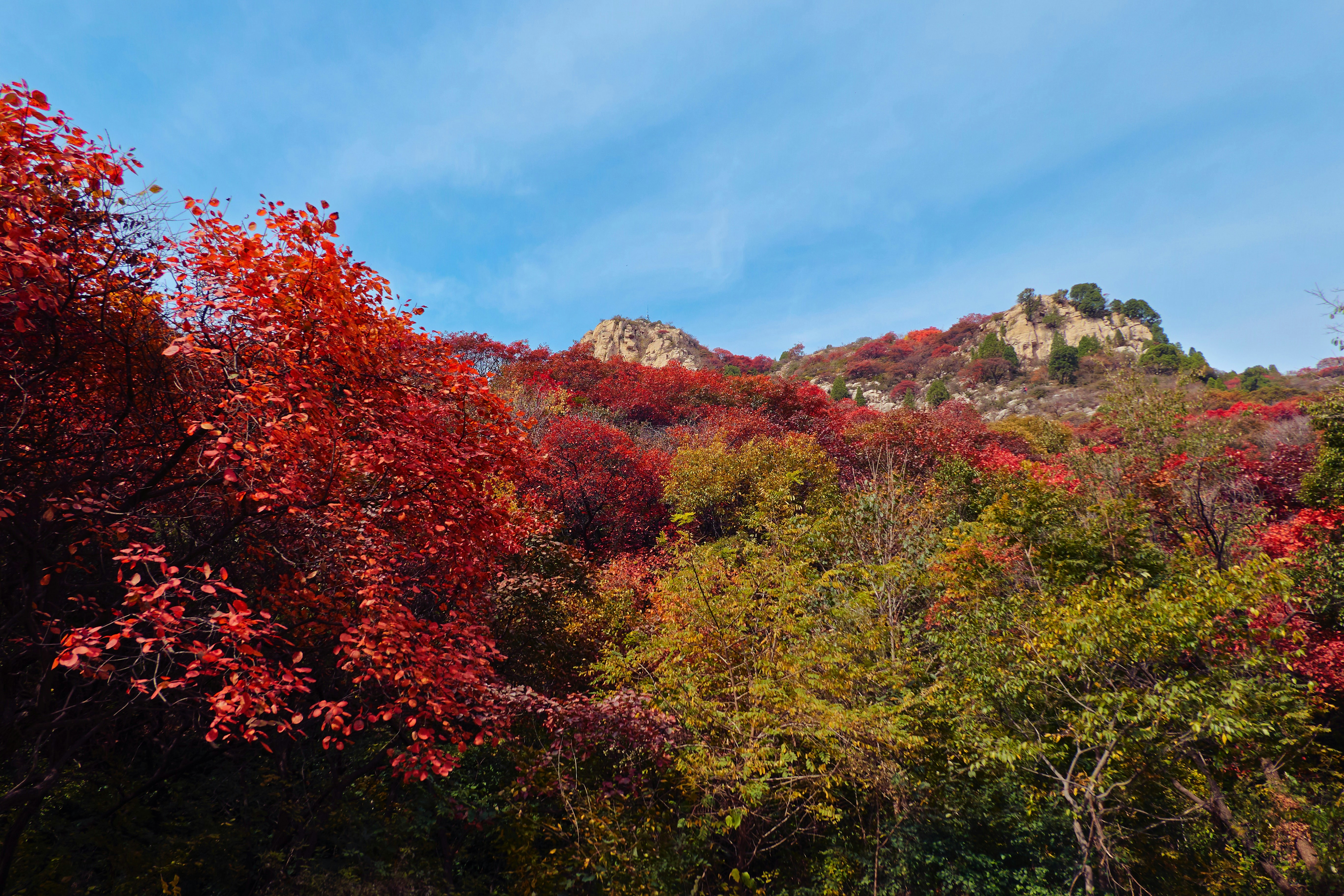 Photo by xiazheng1995