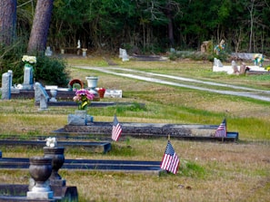 A serene landscape featuring multiple memorial markers in a peaceful setting.
