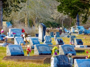 A cemetery with several gravestones placed in rows, some with flowers and small American flags. The background includes tall trees and sparse foliage, and the gravestones vary in shape and size, with some decorated with colorful floral arrangements.