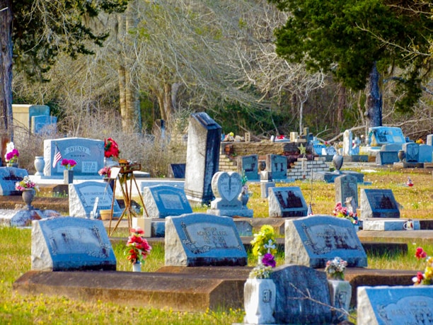 A cemetery with several gravestones placed in rows, some with flowers and small American flags. The background includes tall trees and sparse foliage, and the gravestones vary in shape and size, with some decorated with colorful floral arrangements.