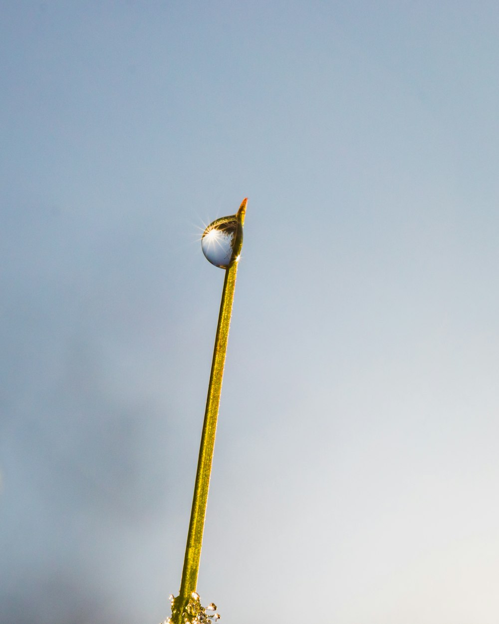 white bird on yellow steel pole during daytime