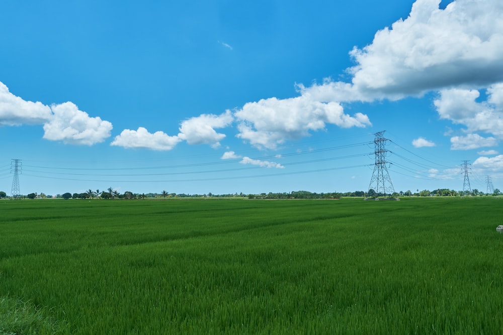 green grass field with electric tower under blue sky and white clouds during daytime